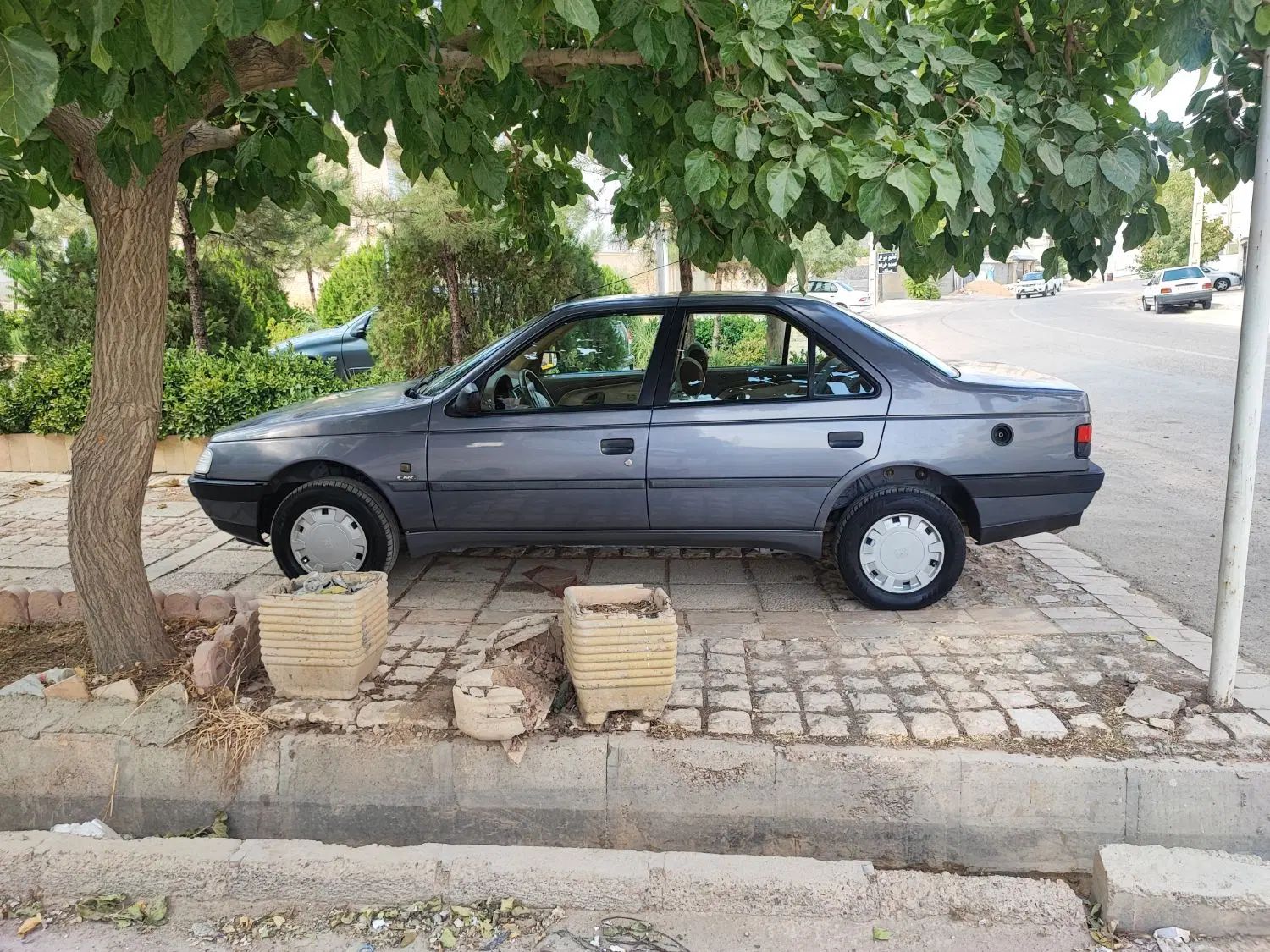 خودرو پژو، 405 آگهی ann_20402164