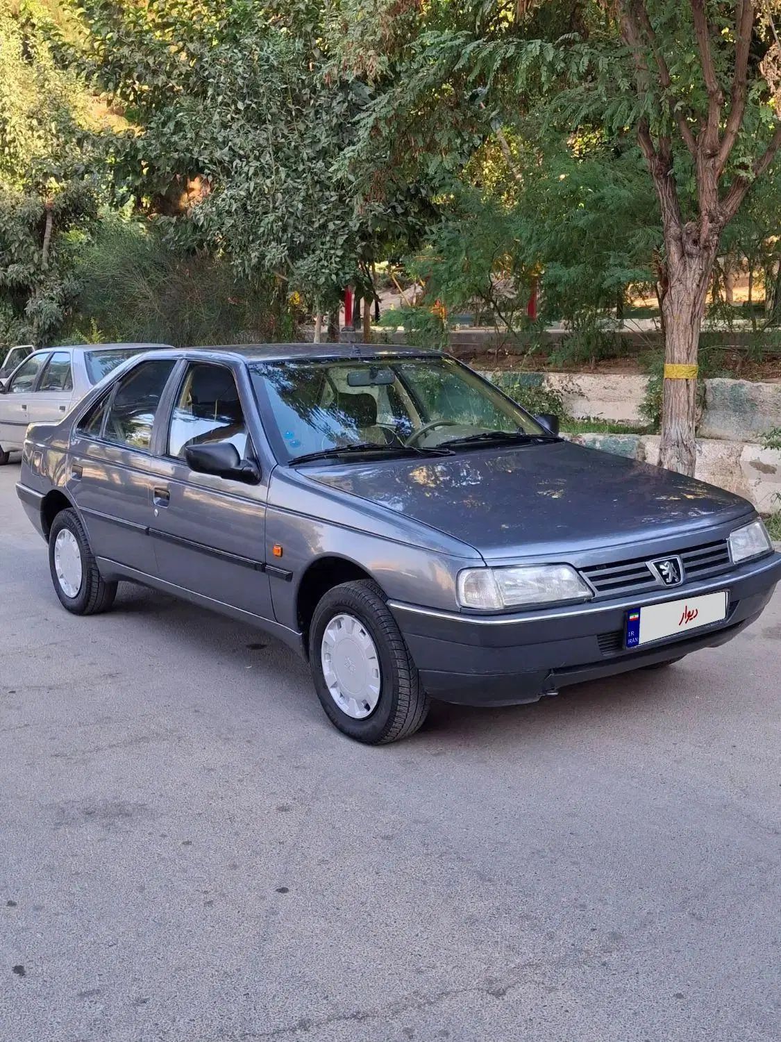 پژو 405 GLX - 1393