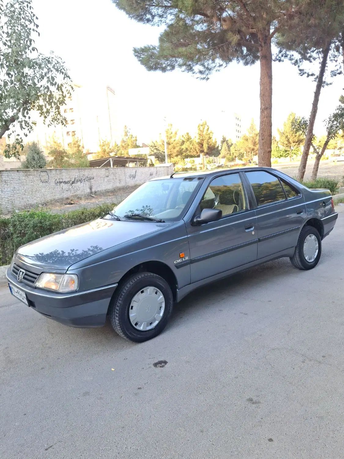 پژو 405 GLX - 1393