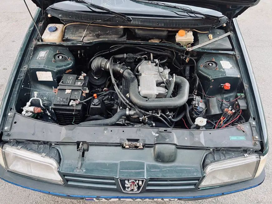 پژو آردی دوگانه سوز CNG - 1384