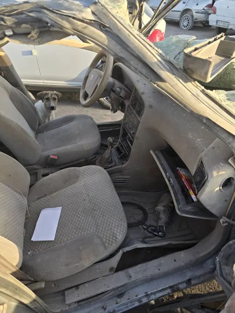پژو 405 GLX - دوگانه سوز - 1390