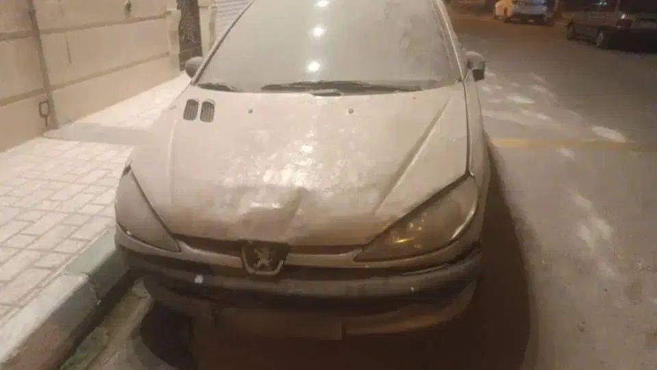 خودرو پژو، 206 آگهی ann_20403934