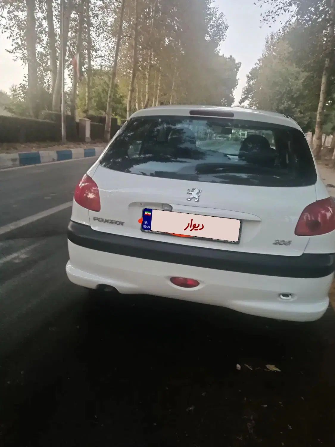پژو 206 تیپ 5 - 1394