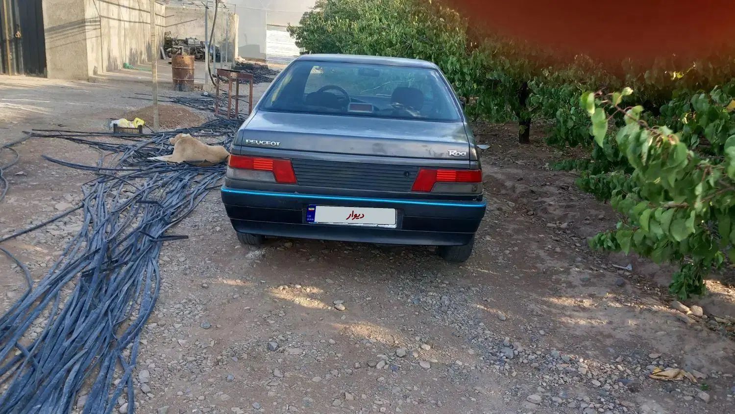 پژو روآ دوگانه سوز - 1386