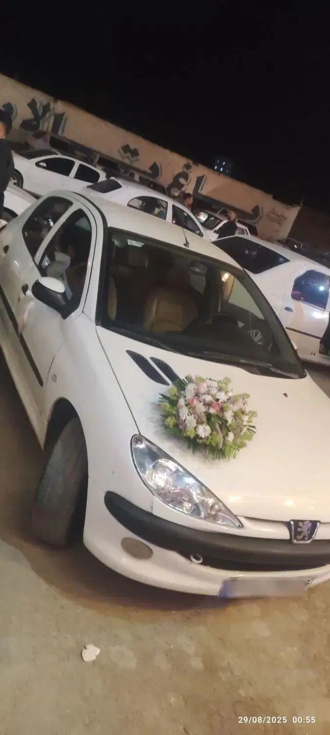 خودرو پژو، 206 آگهی ann_20405522