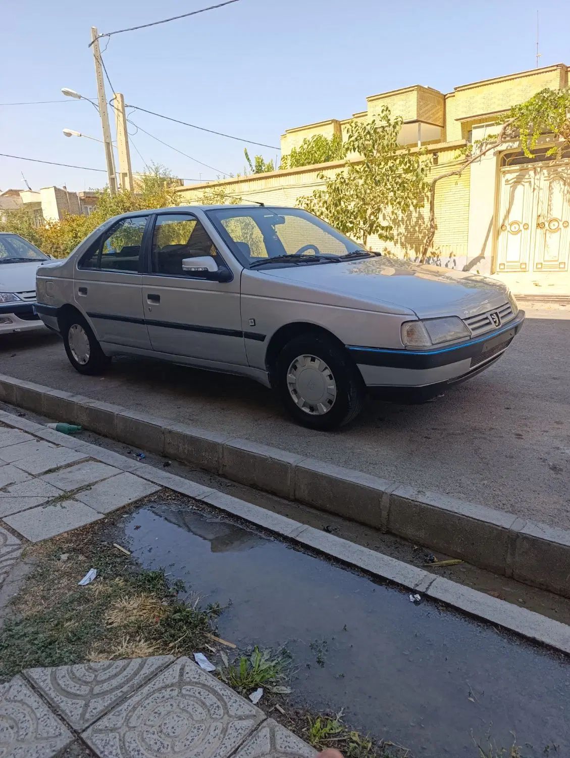 پژو 405 GLX - 1387