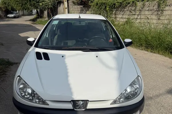 پژو ۲۰۶ صندوق دار v8 - 1399