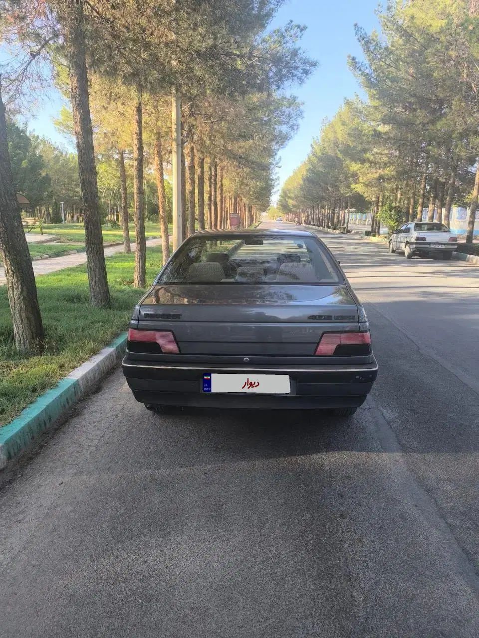 پژو 405 GLX - دوگانه سوز - 1395