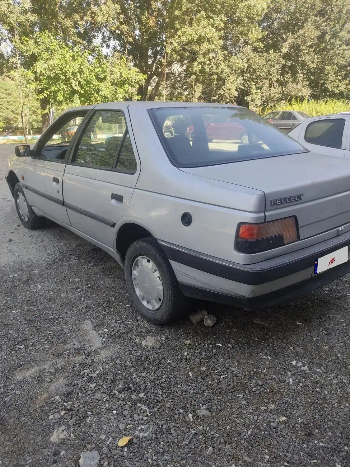 پژو 405 GLX - دوگانه سوز - 1389