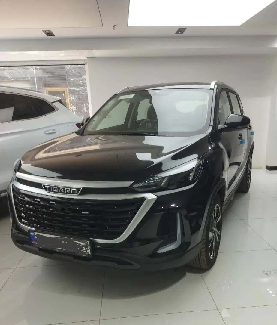 تیگارد X35 ساده - 1404