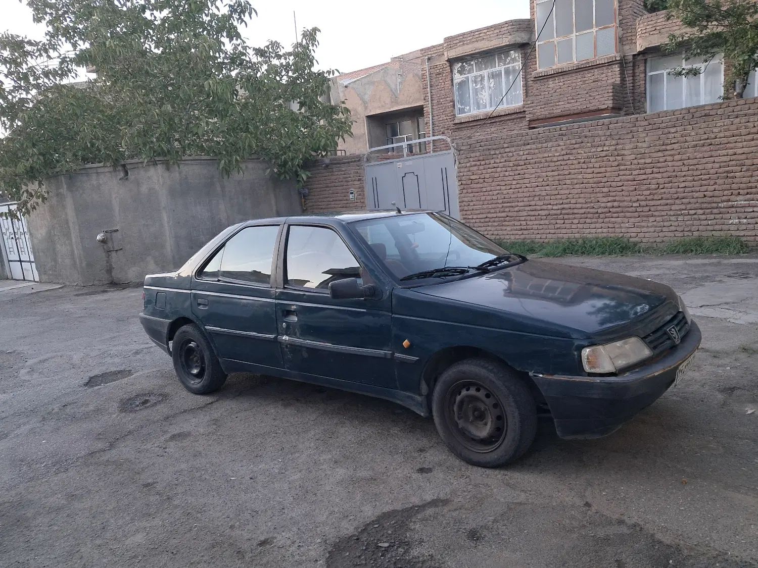 پژو آردی دوگانه سوز CNG - 1384