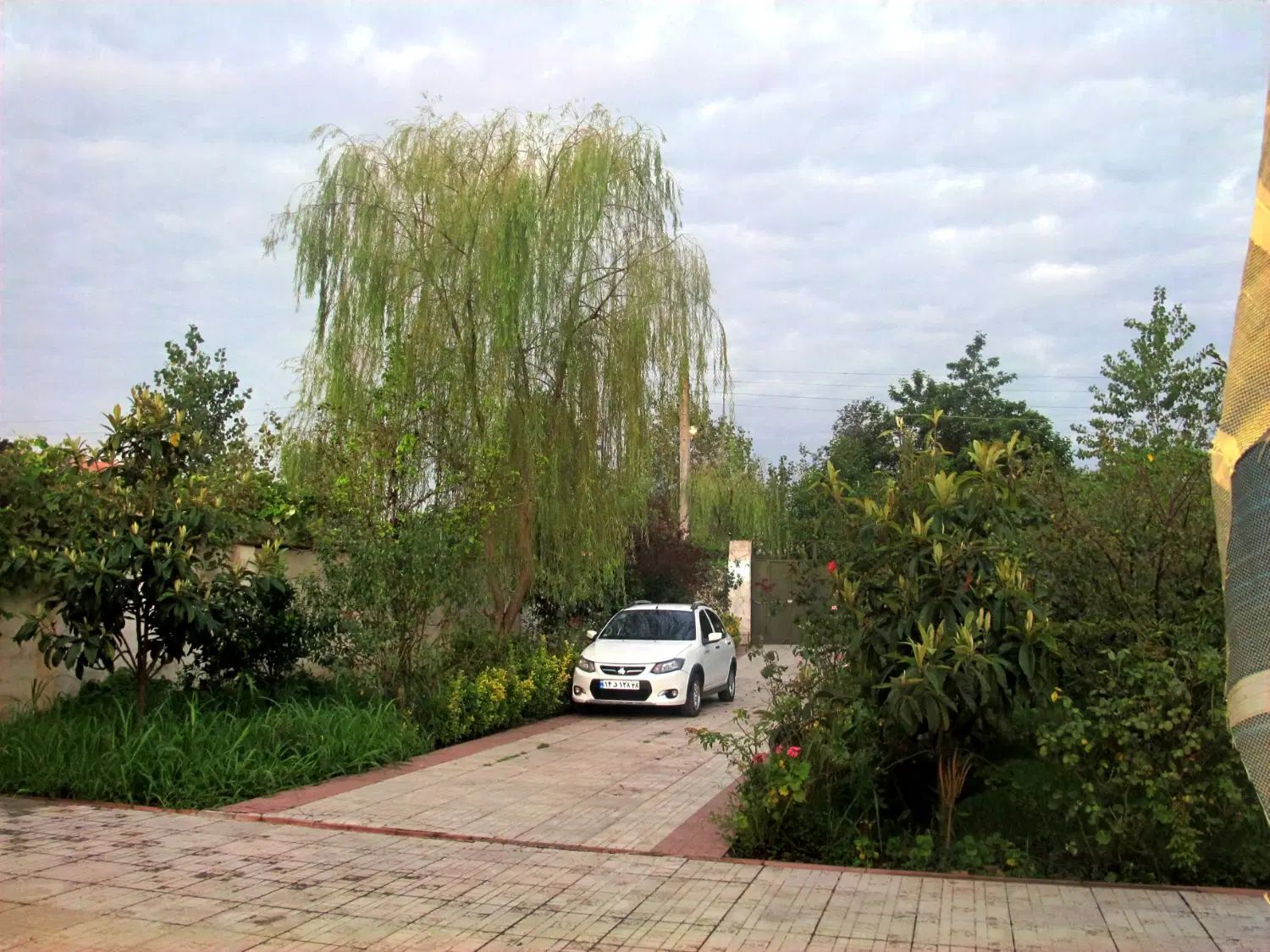 کوییک معمولی دنده‌ای - 1401