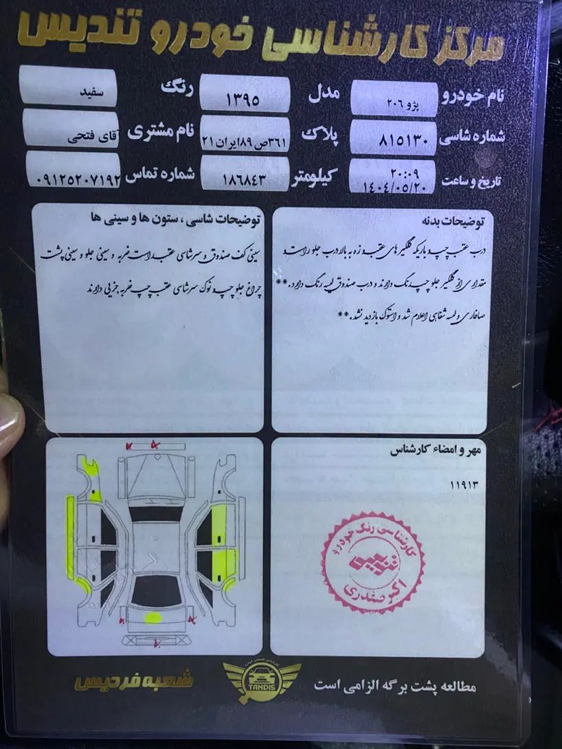 پژو 206 تیپ 2 - 1395