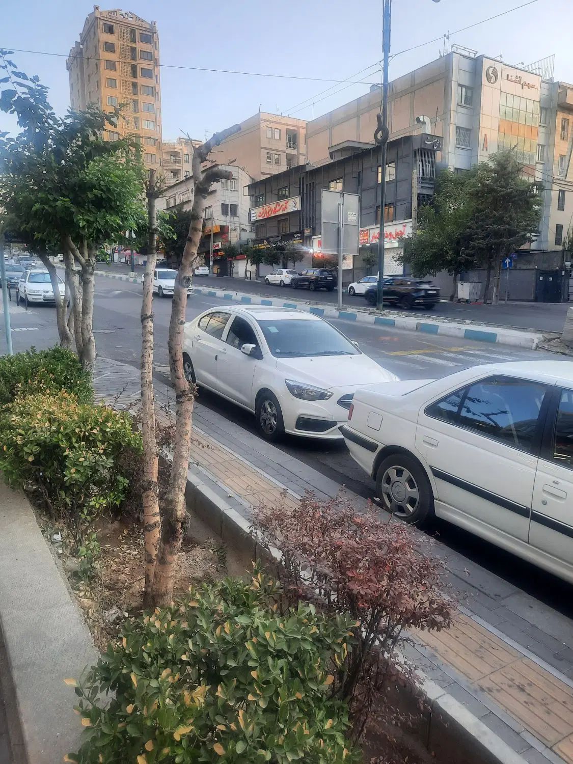 خودرو فیدلیتی، پرایم آگهی ann_20418422
