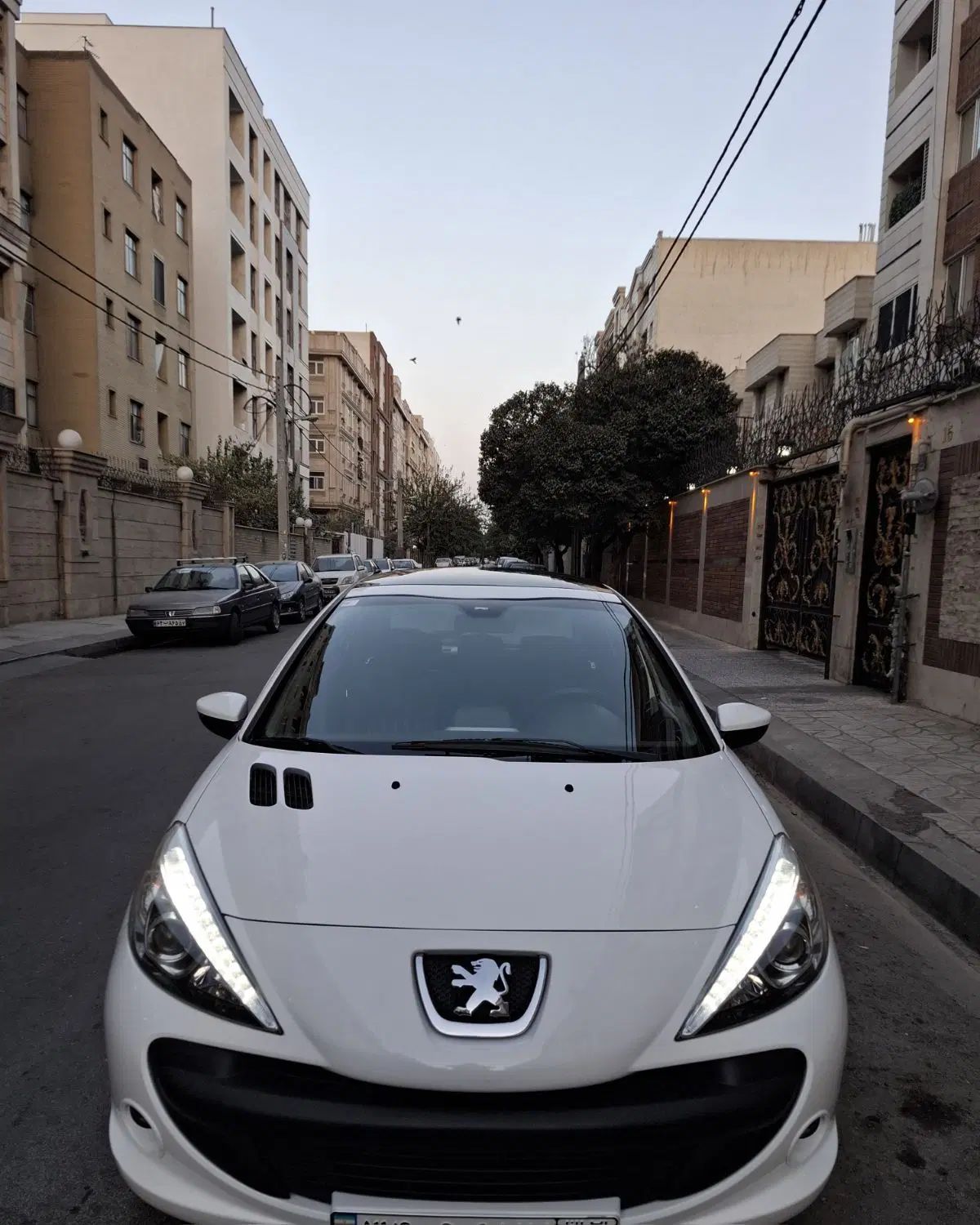 خودرو پژو، 207 آگهی ann_20419058