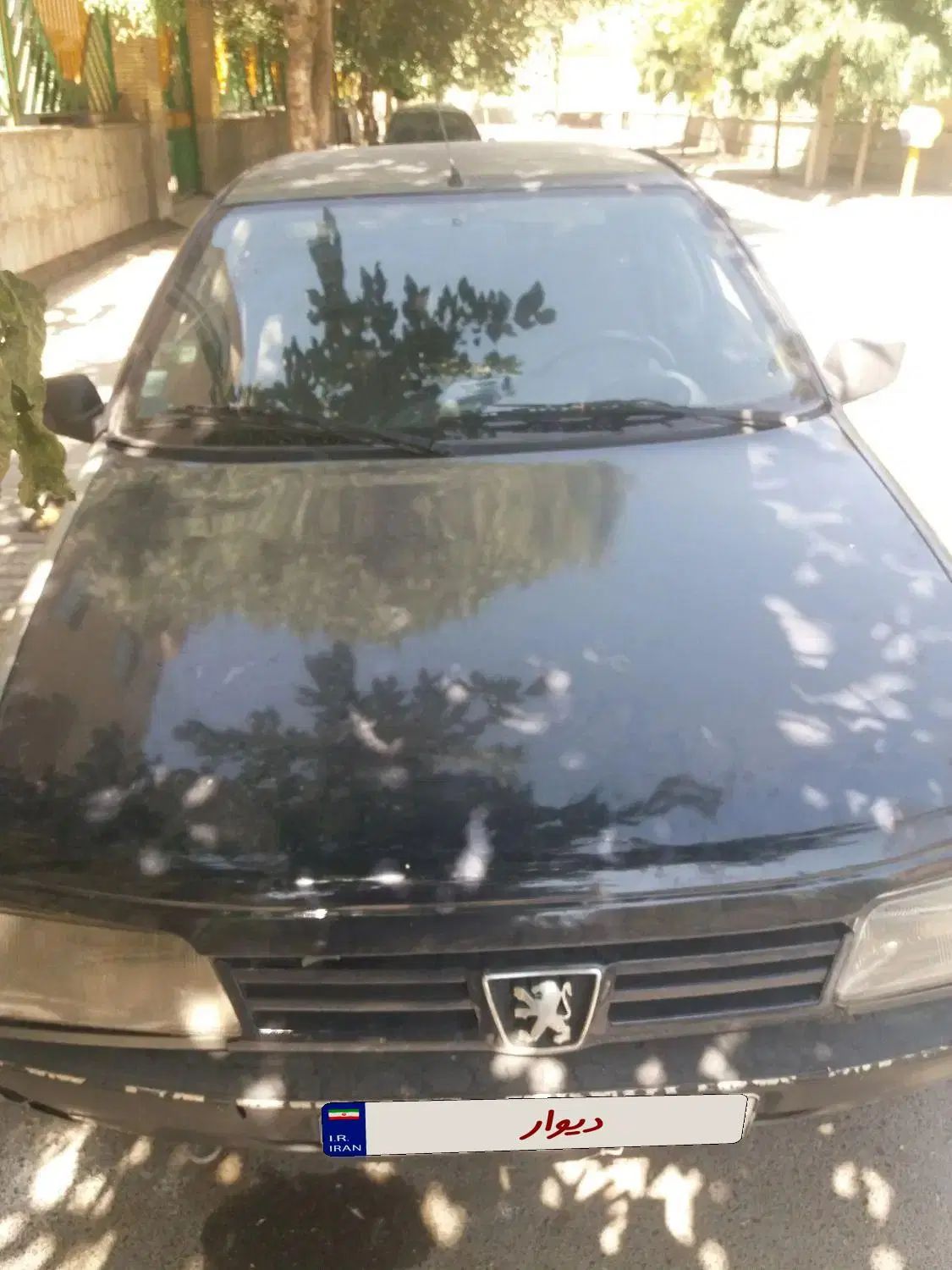 پژو آردی دوگانه سوز CNG - 1385