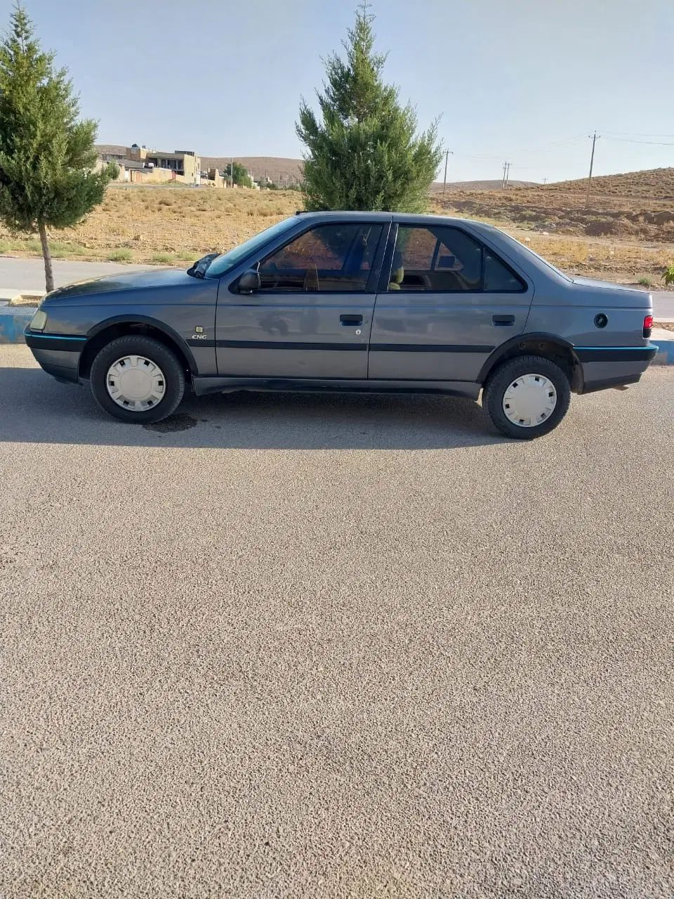 پژو 405 GLX - دوگانه سوز - 1395
