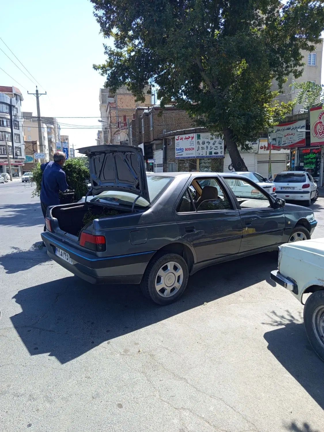 خودرو پژو، 405 آگهی ann_20422845