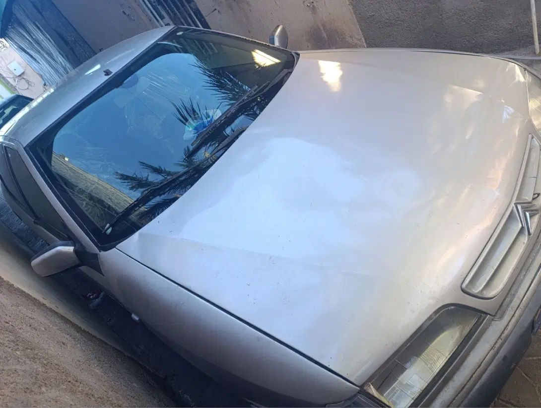 سیتروئن زانتیا SX - 1384