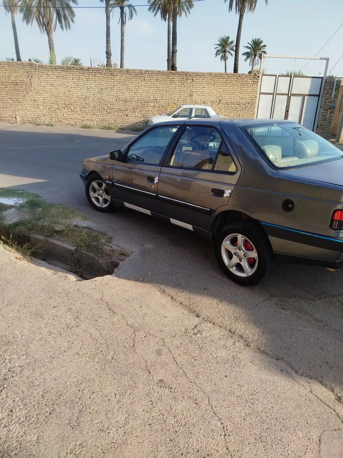 پژو 405 GLX - دوگانه سوز - 1394