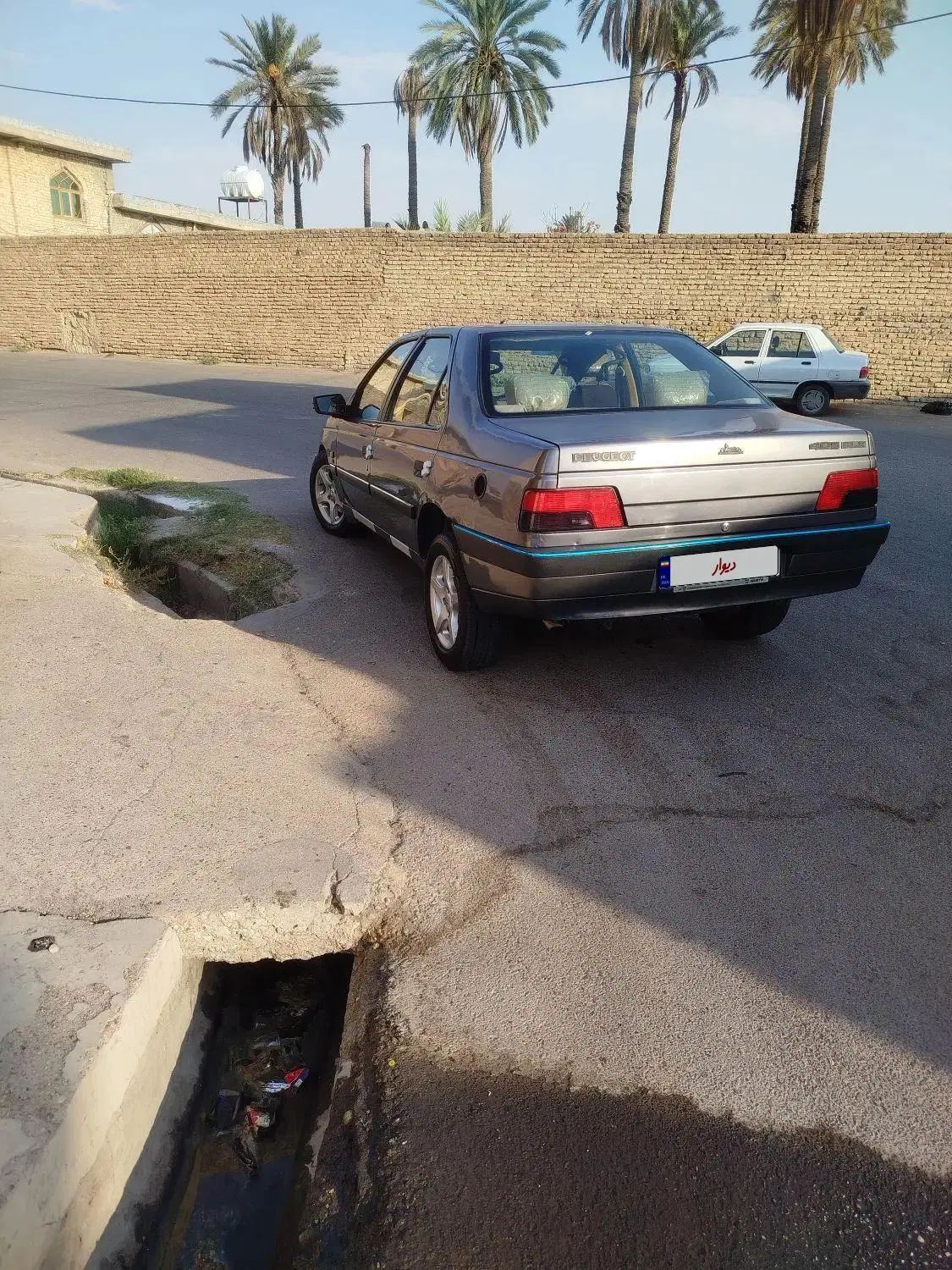 پژو 405 GLX - دوگانه سوز - 1394