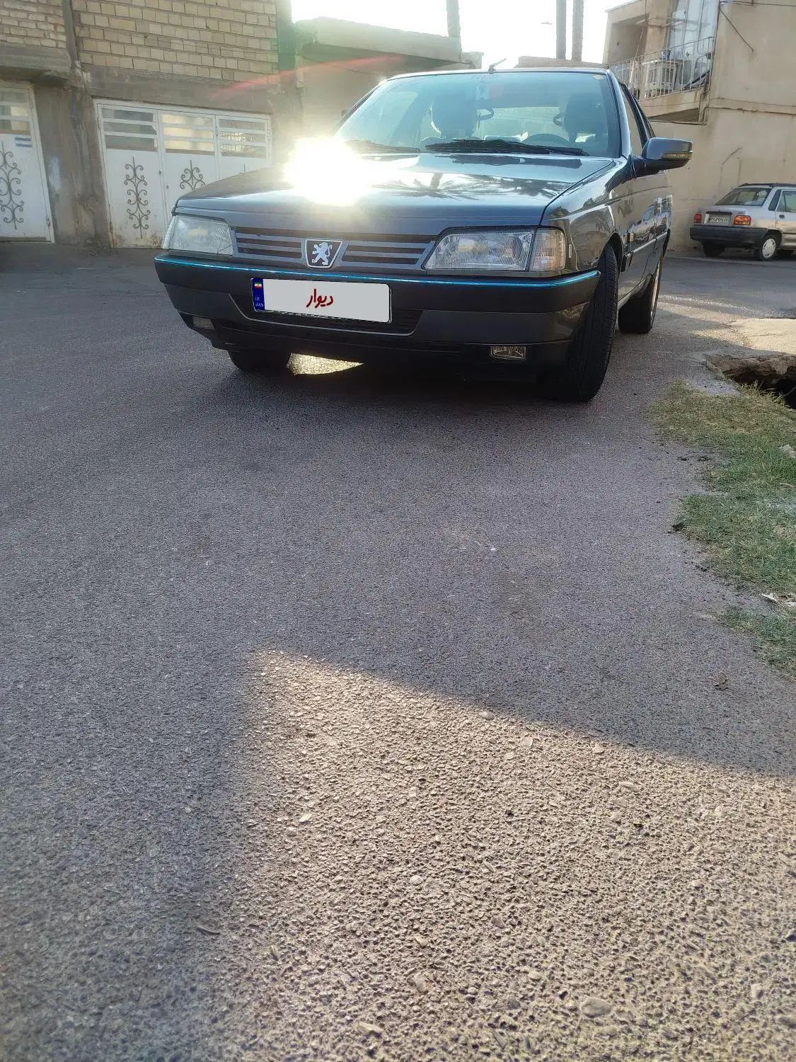 پژو 405 GLX - دوگانه سوز - 1394