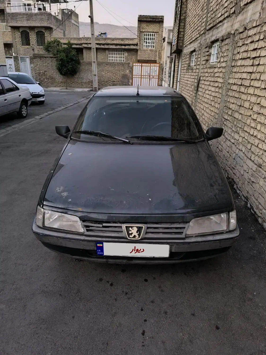 پژو آردی دوگانه سوز CNG - 1383