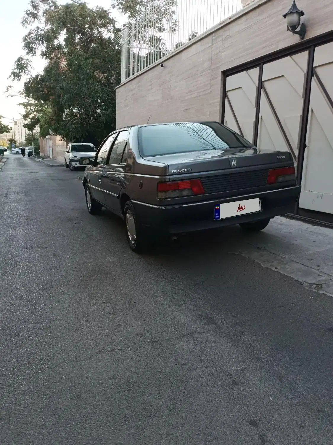 پژو روآ دوگانه سوز - 1386