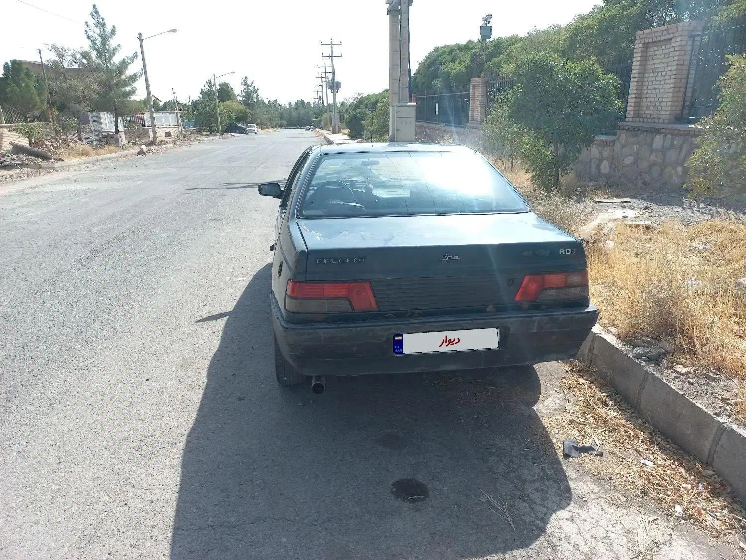 پژو آردی دوگانه سوز CNG - 1384
