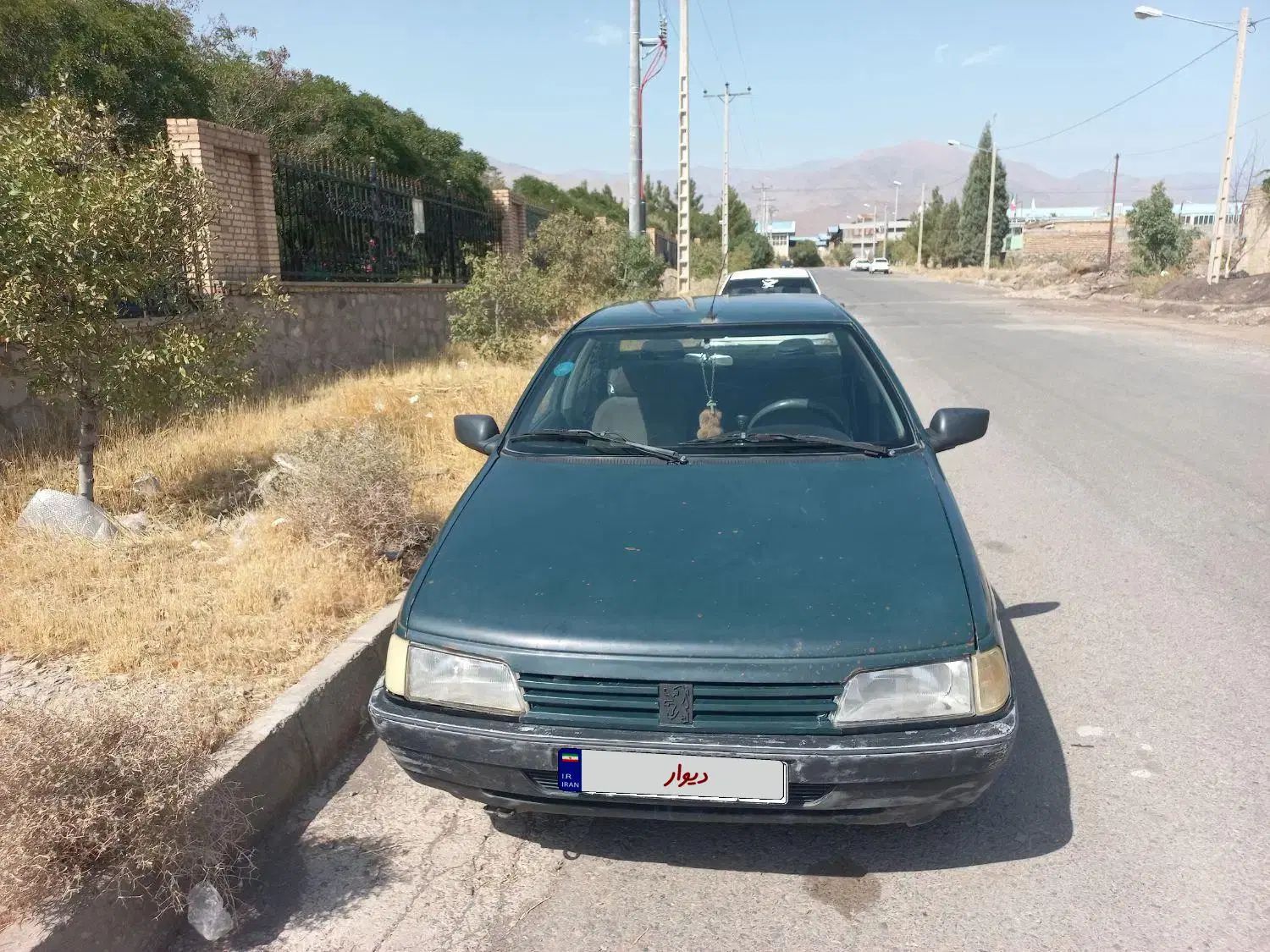 پژو آردی دوگانه سوز CNG - 1384