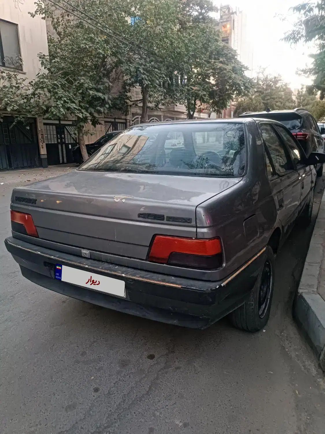 پژو 405 GLX - دوگانه سوز - 1391