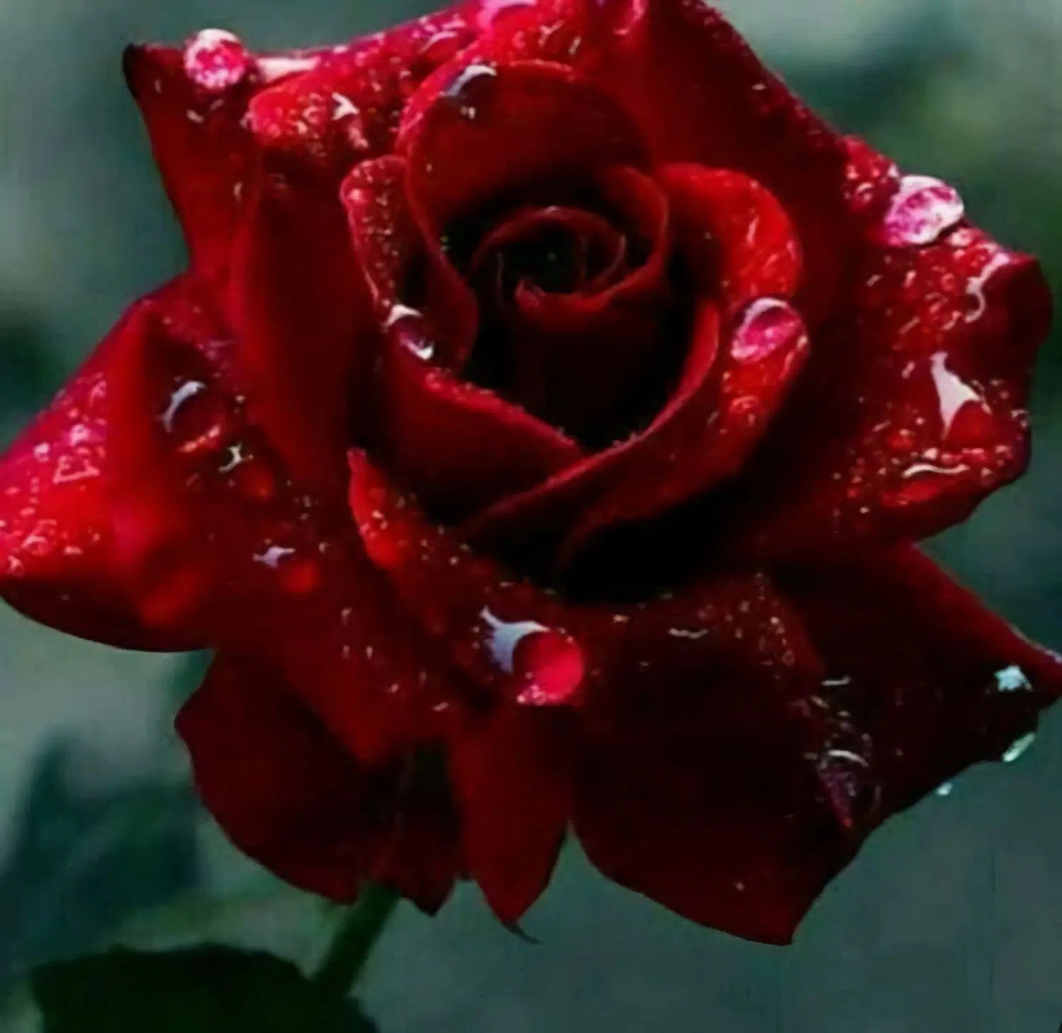 خودرو پراید، صبا آگهی ann_20428289