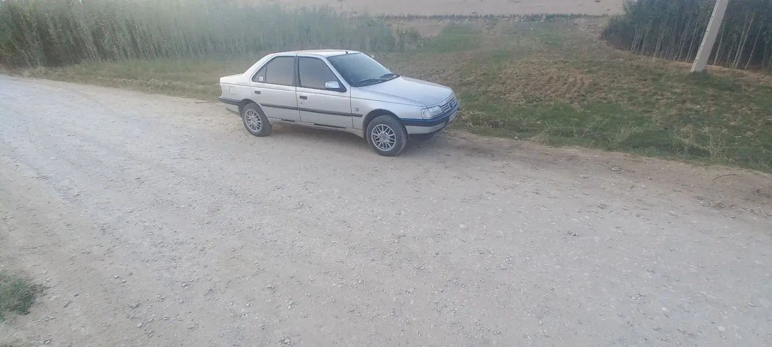 پژو 405 GLX - 1395