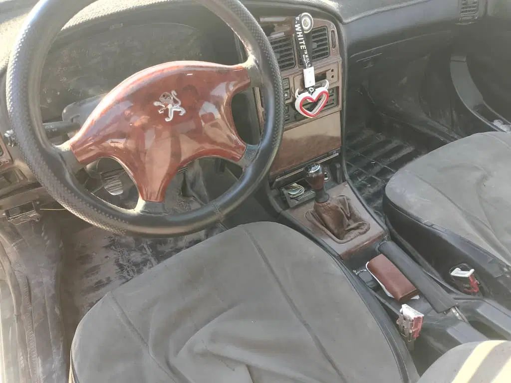 پژو آردی دوگانه سوز CNG - 1379