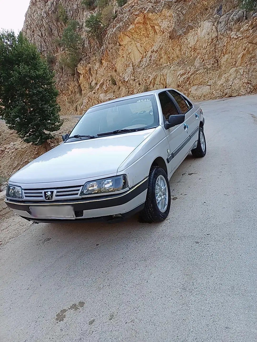 پژو 405 GLX - دوگانه سوز - 1388