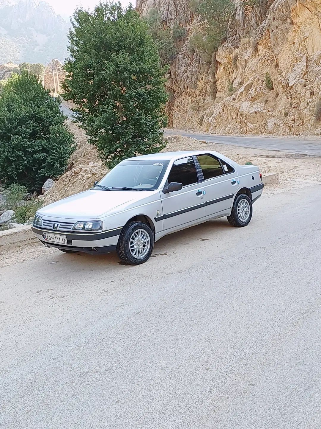 پژو 405 GLX - دوگانه سوز - 1388
