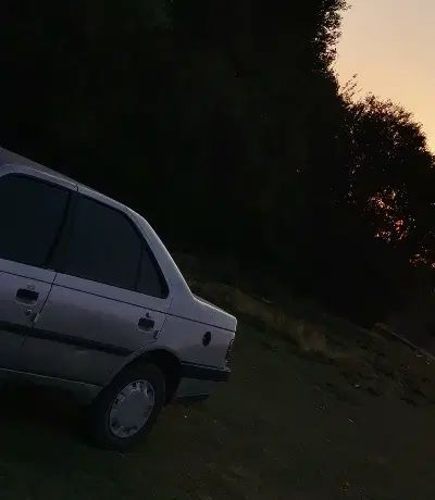 پژو 405 GLX - 1390
