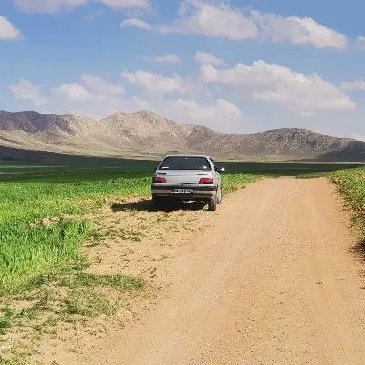 خودرو پژو، 405 آگهی ann_20429783