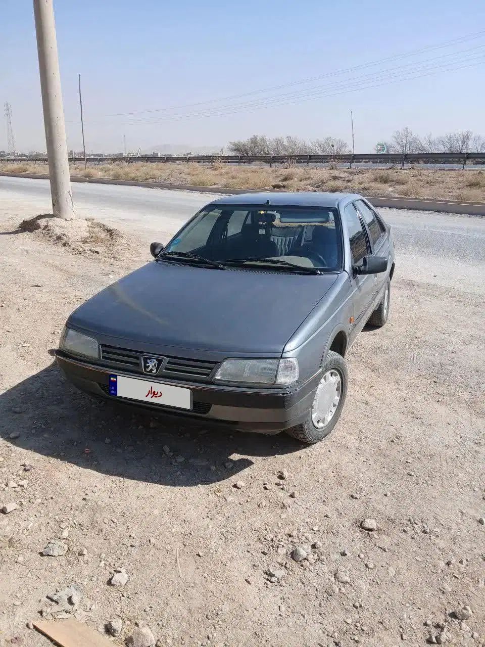 پژو 405 GLX - دوگانه سوز - 1388