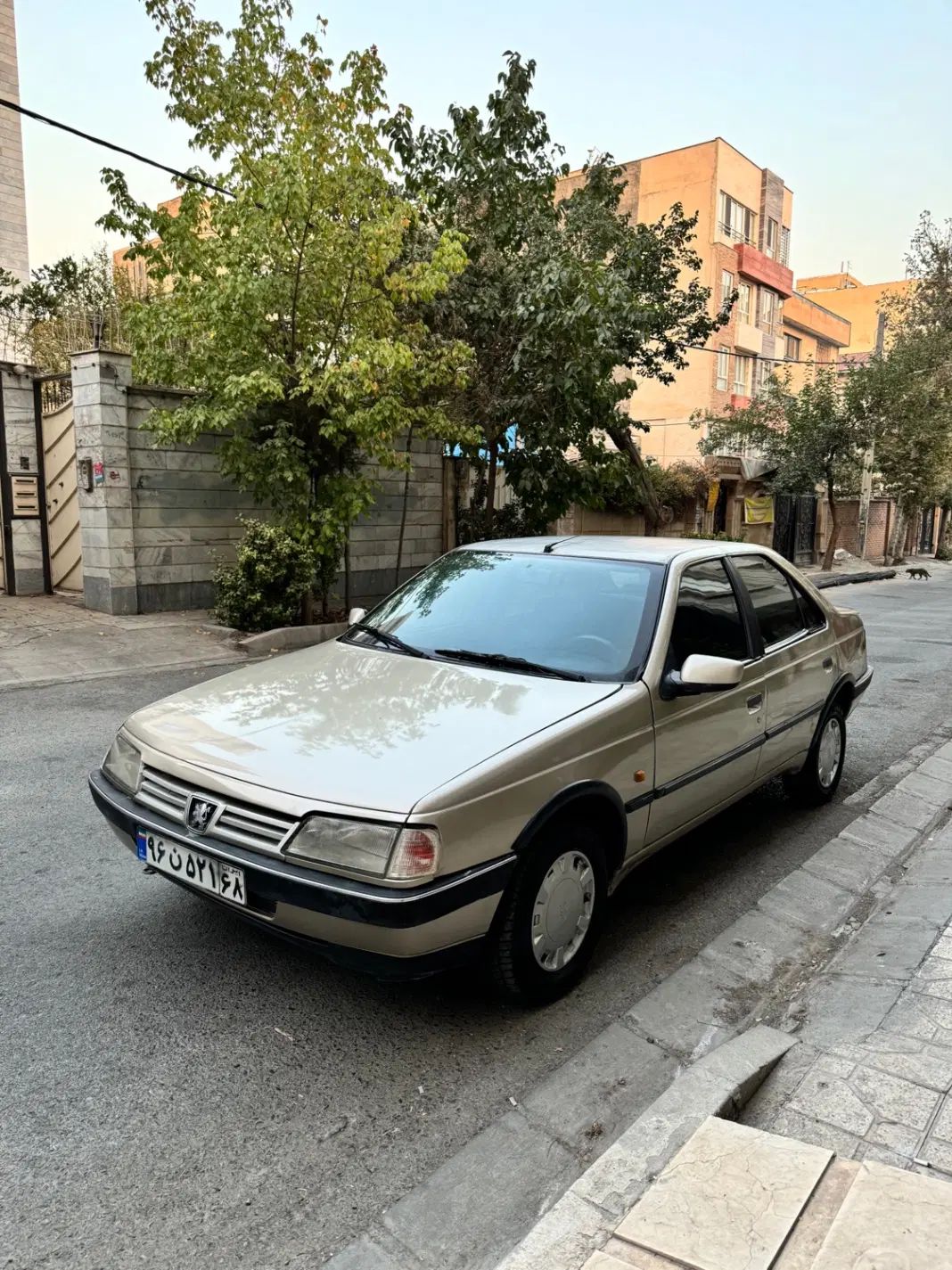 پژو 405 GLX - 1384
