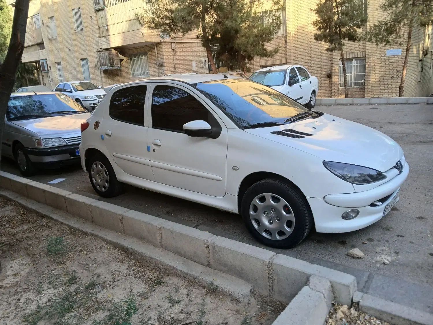 پژو 206 تیپ 5 - 1394