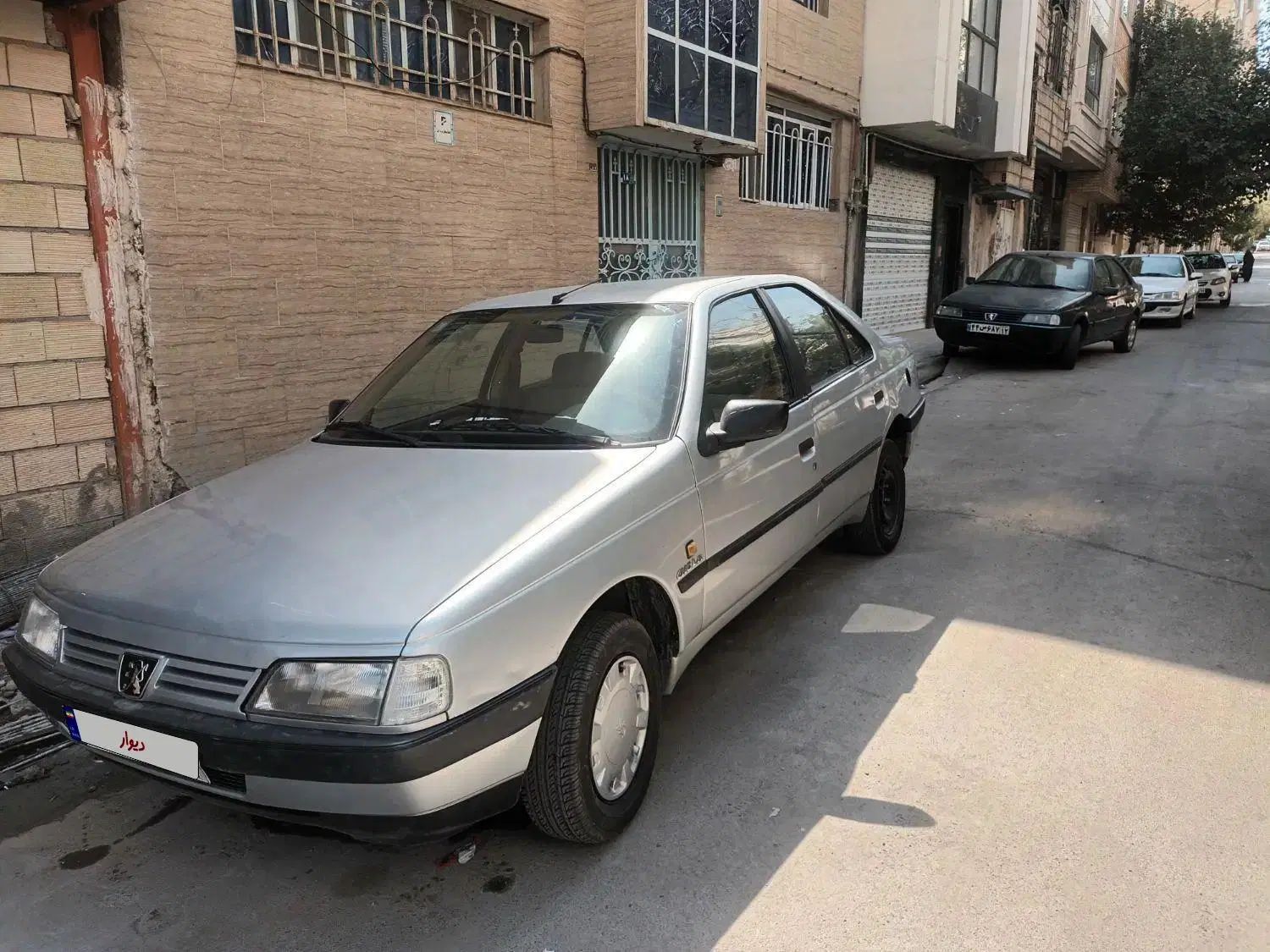 پژو 405 GL - دوگانه سوز CNG - 1369