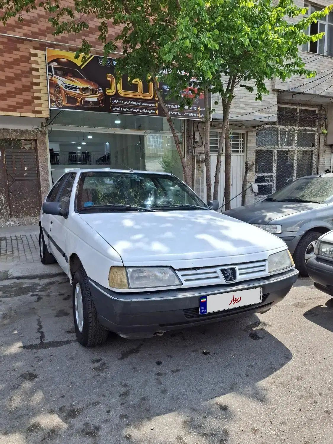 پژو آردی دوگانه سوز CNG - 1382