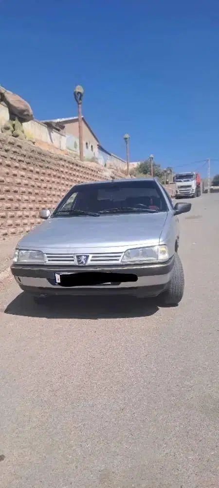 پژو 405 GLX - 1389