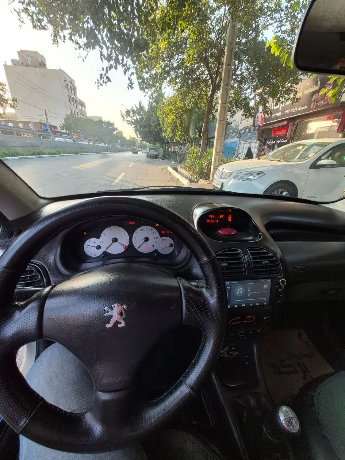 پژو 206 تیپ 5 - 1393