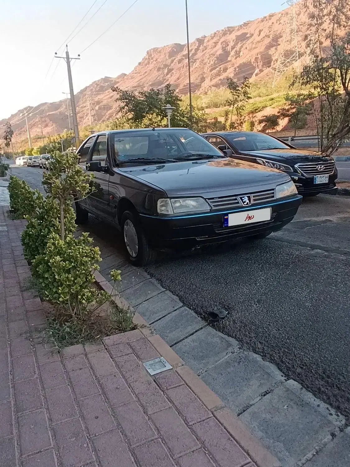 پژو روآ دوگانه سوز - 1387