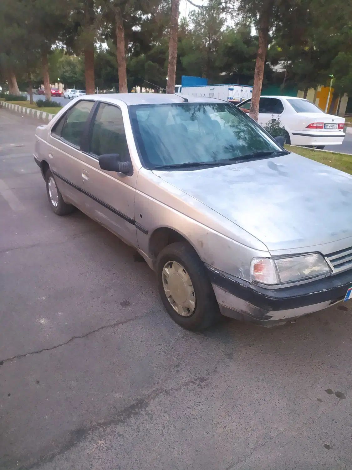 پژو 405 GLX - 1384