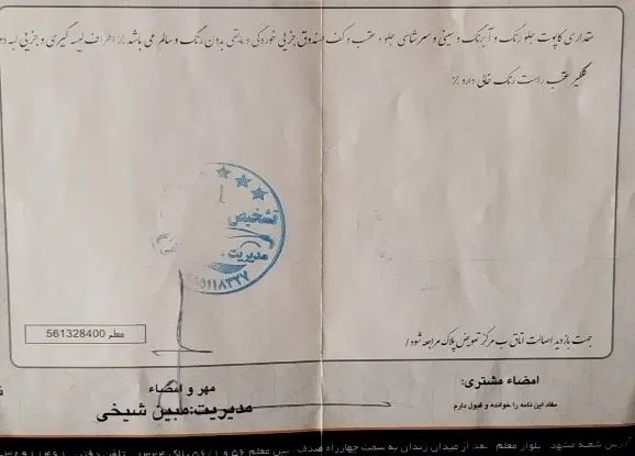 پژو 206 تیپ 5 - 1395