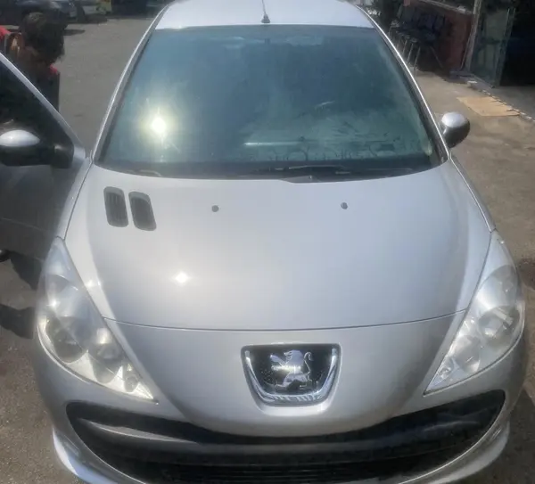 خودرو پژو، 207 آگهی ann_20436981