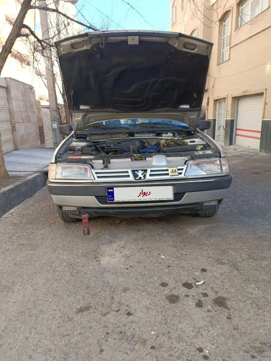 پژو 405 GLX - 1391